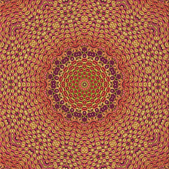 Round Machine Washable Transitional Orange Rug, wshpat3706org