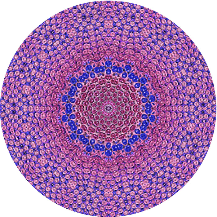 Square Machine Washable Transitional Orchid Purple Rug in a Living Room, wshpat3706pur