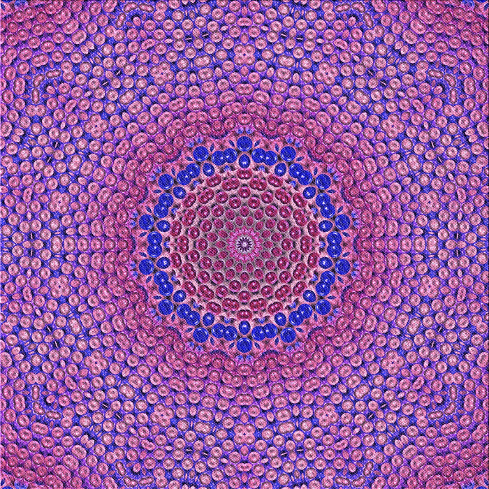 Round Machine Washable Transitional Orchid Purple Rug, wshpat3706pur