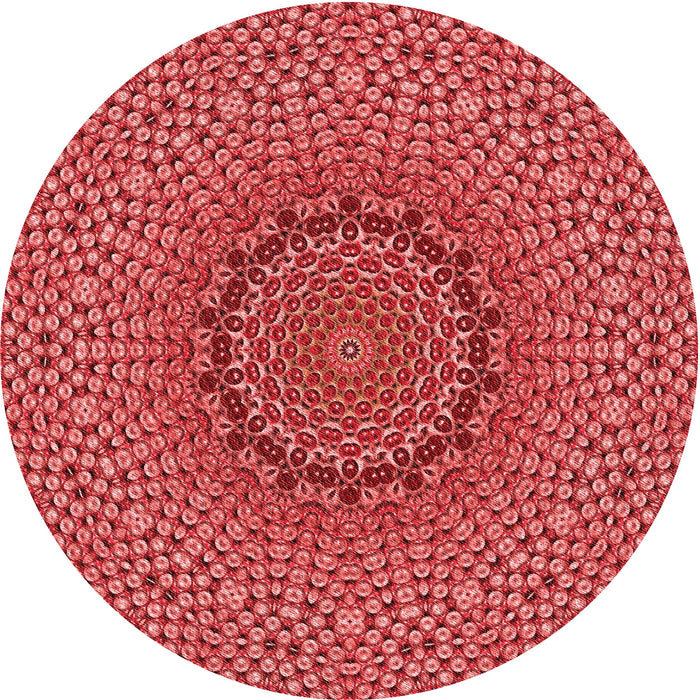 Square Machine Washable Transitional Red Rug in a Living Room, wshpat3706rd