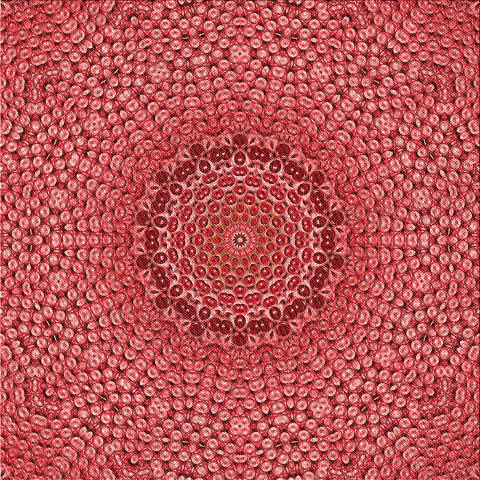 Round Machine Washable Transitional Red Rug, wshpat3706rd