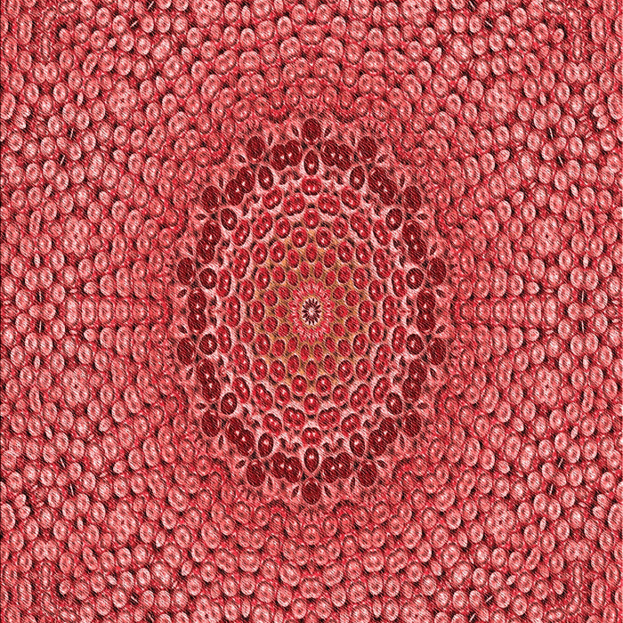 Machine Washable Transitional Red Rug, wshpat3706rd