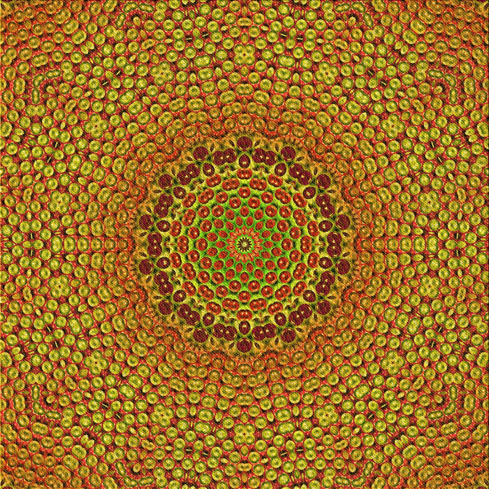 Round Machine Washable Transitional Brown Rug, wshpat3706yw