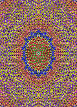 Machine Washable Transitional Brown Rug, wshpat3706