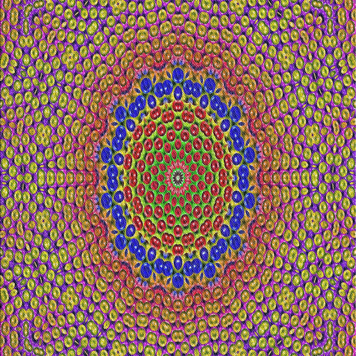 Machine Washable Transitional Brown Rug, wshpat3706