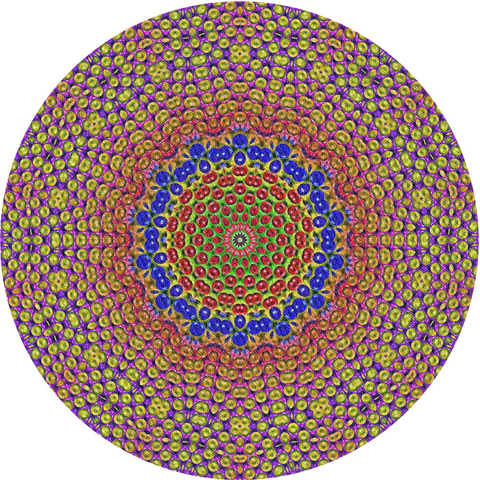 Square Machine Washable Transitional Brown Rug, wshpat3706