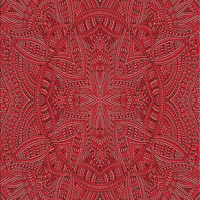 Machine Washable Transitional Red Rug, wshpat3709rd