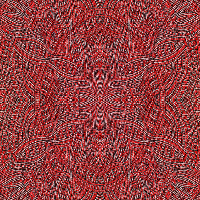 Patterned Red Novelty Rug, pat3709