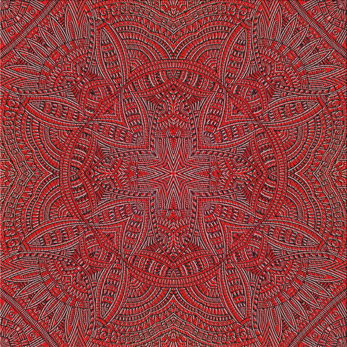 Square Patterned Red Novelty Rug, pat3709