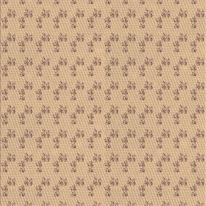 Machine Washable Transitional Peru Brown Rug, wshpat371brn