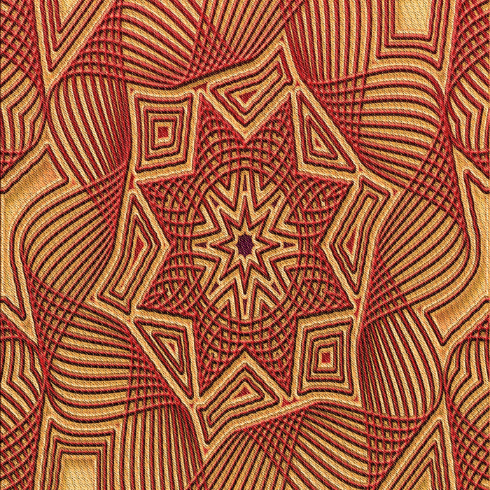 Machine Washable Transitional Orange Rug, wshpat3714org