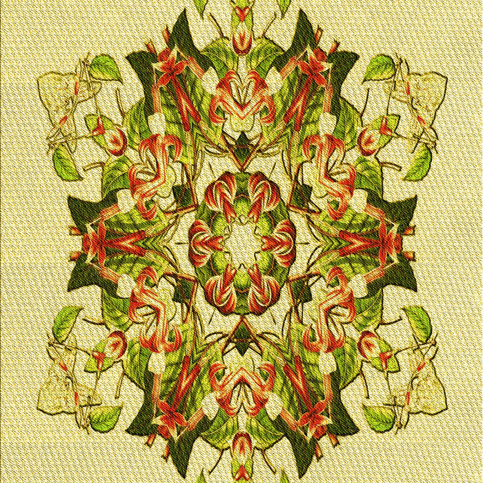 Patterned Dark Golden Brown Rug, pat3719yw