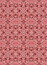 Machine Washable Transitional Light Coral Pink Rug, wshpat3720rd