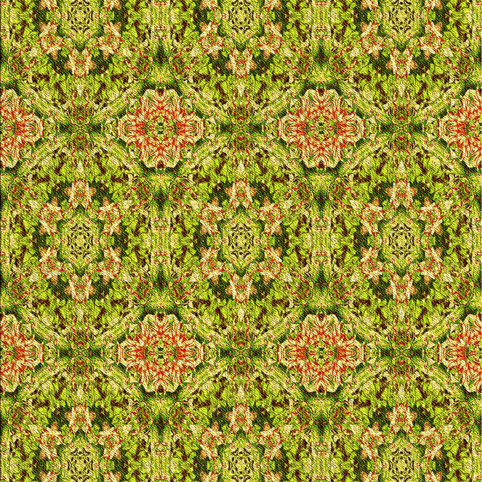 Patterned Dark Bronze Brown Rug, pat3720yw