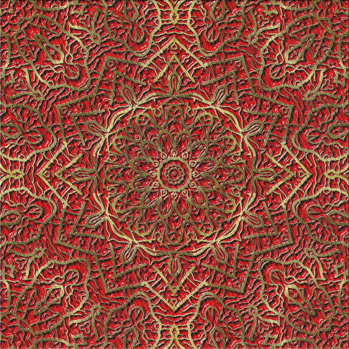 Square Patterned Red Novelty Rug, pat3721