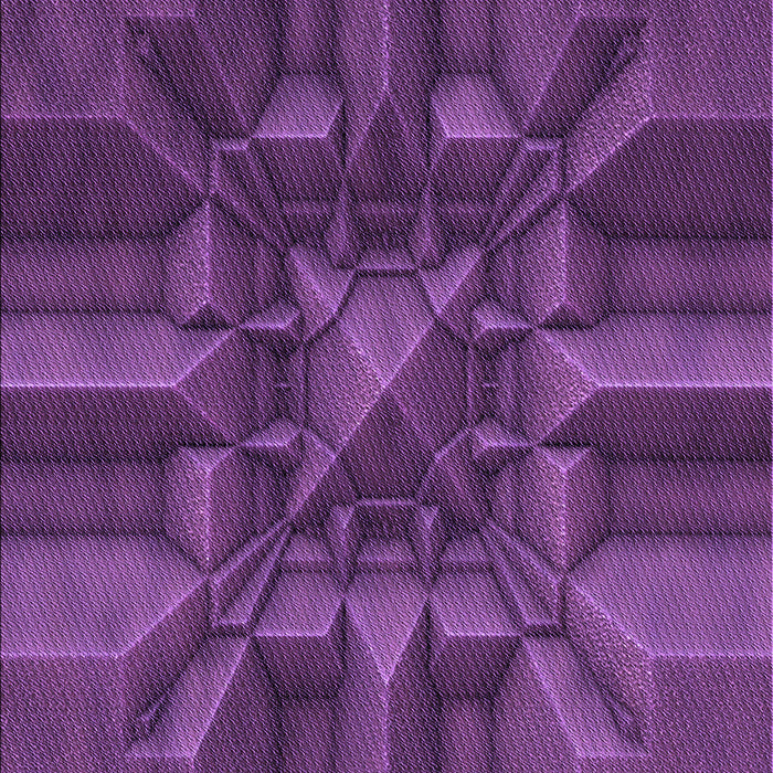 Machine Washable Transitional Dark Orchid Purple Rug, wshpat3725pur