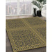 Patterned Copper Green Novelty Rug in Family Room, pat3726