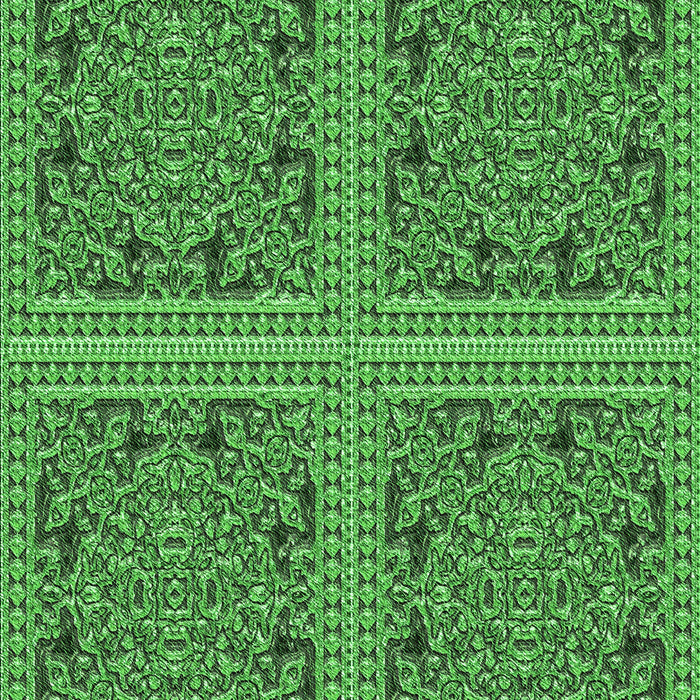 Machine Washable Transitional Neon Green Rug, wshpat3729grn