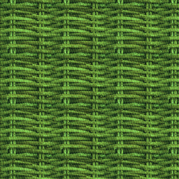 Machine Washable Transitional Dark Forest Green Rug, wshpat3731grn