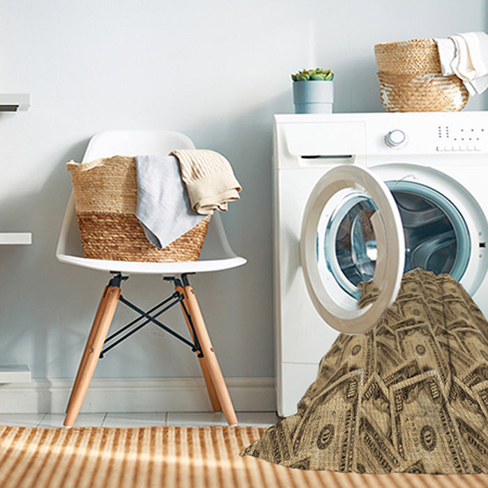 Machine Washable Transitional Red Brown Rug in a Washing Machine, wshpat3732brn