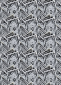 Machine Washable Transitional Gray Rug, wshpat3732