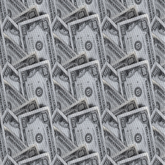 Machine Washable Transitional Gray Rug, wshpat3732