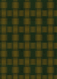 Machine Washable Transitional Army Green Rug, wshpat3734grn