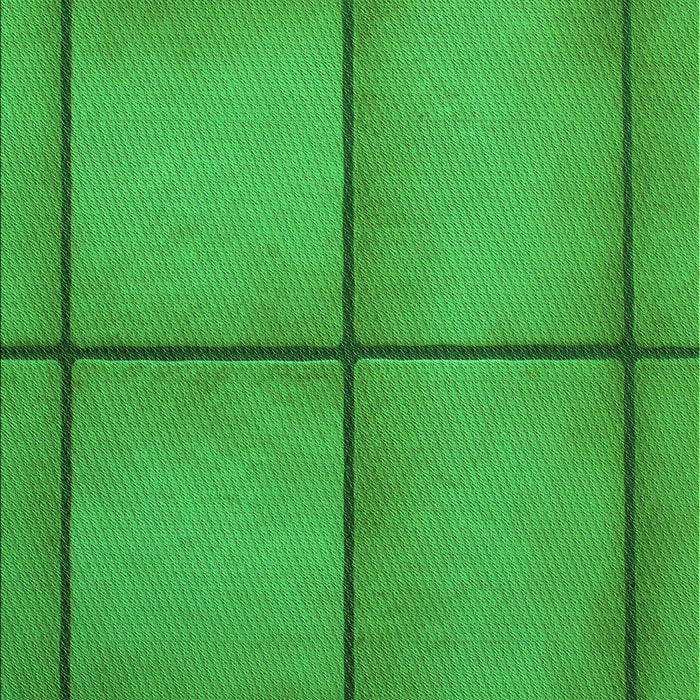Machine Washable Transitional Lime Green Rug, wshpat3737grn