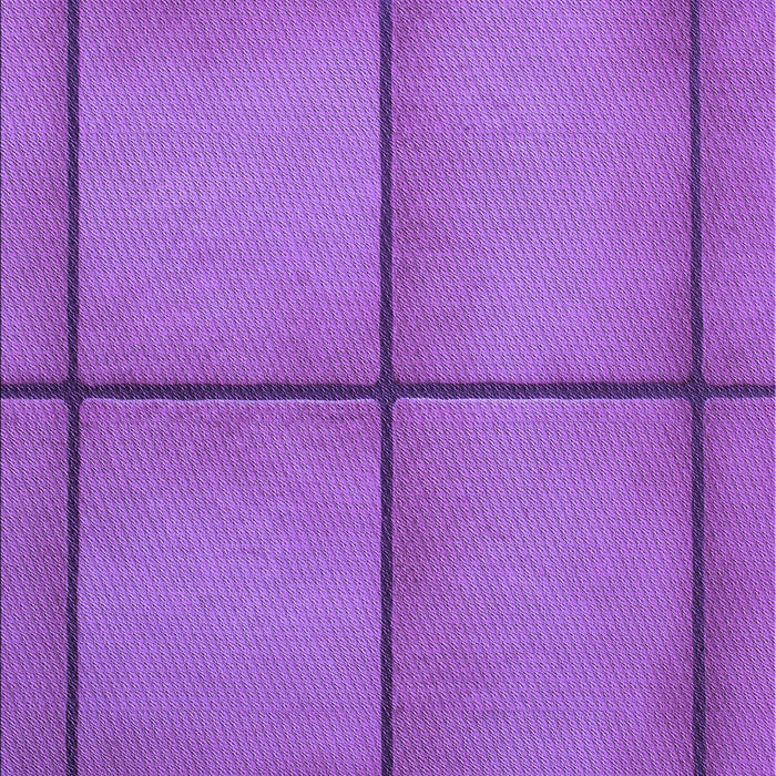 Machine Washable Transitional Purple Rug, wshpat3737pur