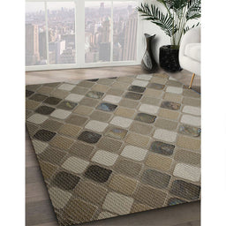 Patterned Dark Brown Novelty Rug in Family Room, pat3740
