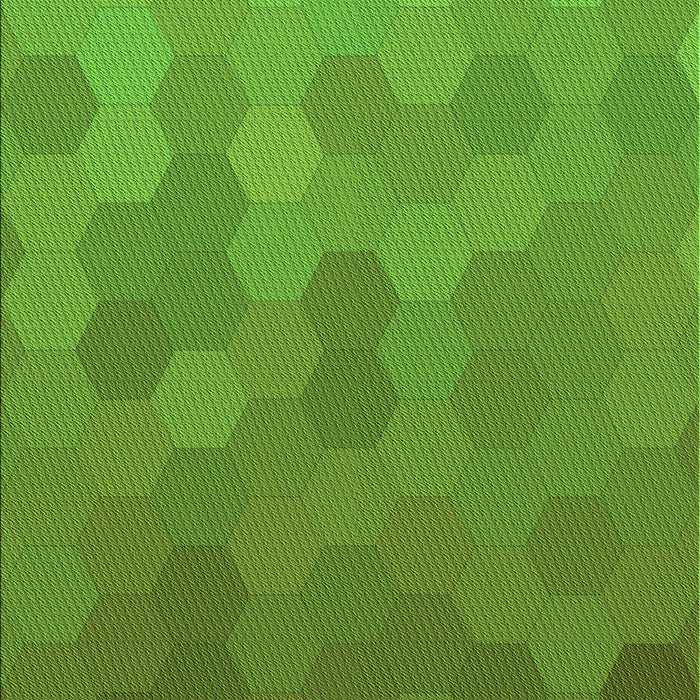 Patterned Seaweed Green Rug, pat3743grn