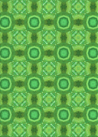 Machine Washable Transitional Green Rug, wshpat3744grn