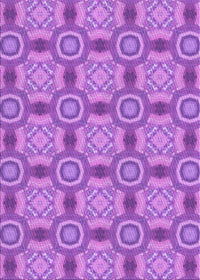 Machine Washable Transitional Purple Rug, wshpat3744pur