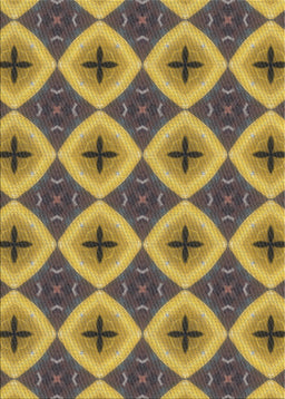 Machine Washable Transitional Dark Brown Rug, wshpat3746