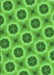 Patterned Emerald Green Rug, pat3747grn