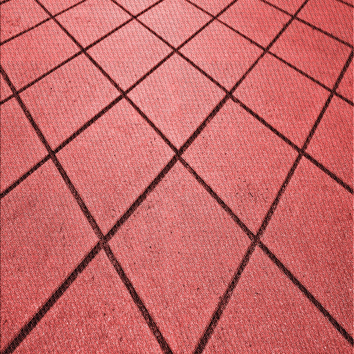 Machine Washable Transitional Red Rug, wshpat3749rd