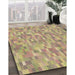 Machine Washable Transitional Petra Gold Brown Rug in a Family Room, wshpat3750brn