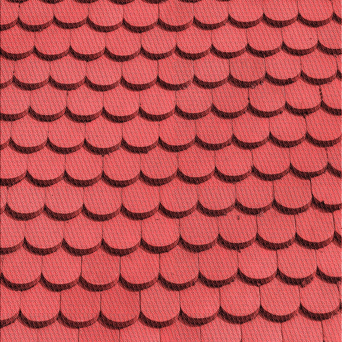Patterned Red Rug, pat3751rd