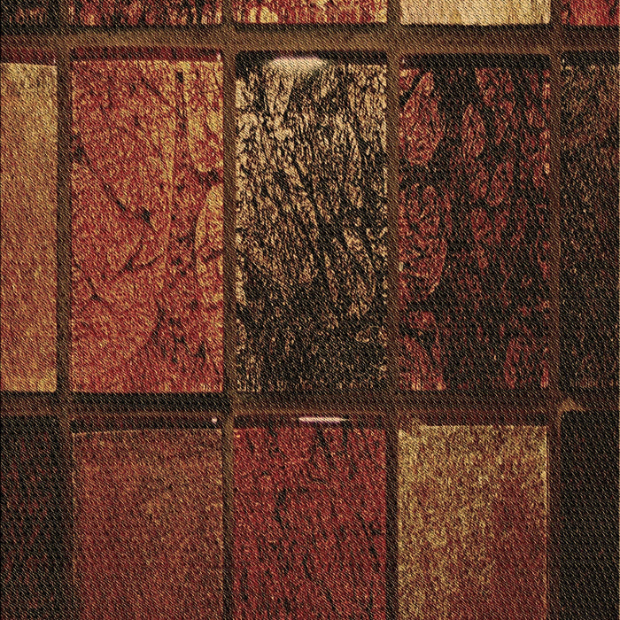 Patterned Red Rug, pat3755brn