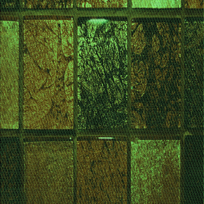 Machine Washable Transitional Dark Lime Green Rug, wshpat3755grn