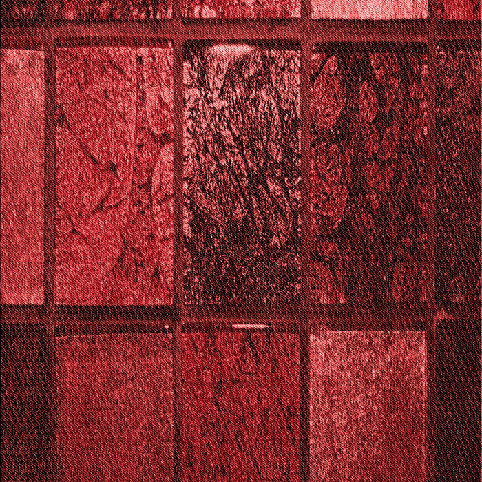 Patterned Cranberry Red Rug, pat3755rd