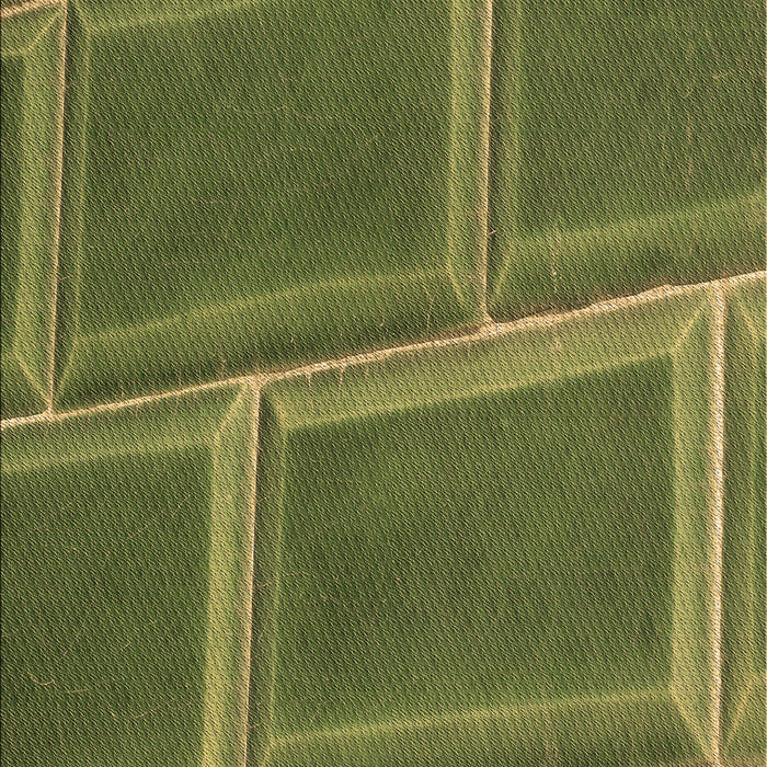 Patterned Dark Yellow Green Rug, pat3756brn