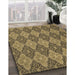 Patterned Golden Gold Rug in Family Room, pat3757brn