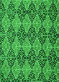 Machine Washable Transitional Green Rug, wshpat3757grn