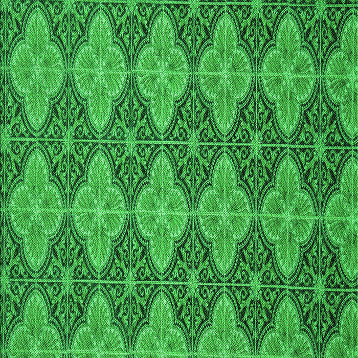 Machine Washable Transitional Green Rug, wshpat3757grn