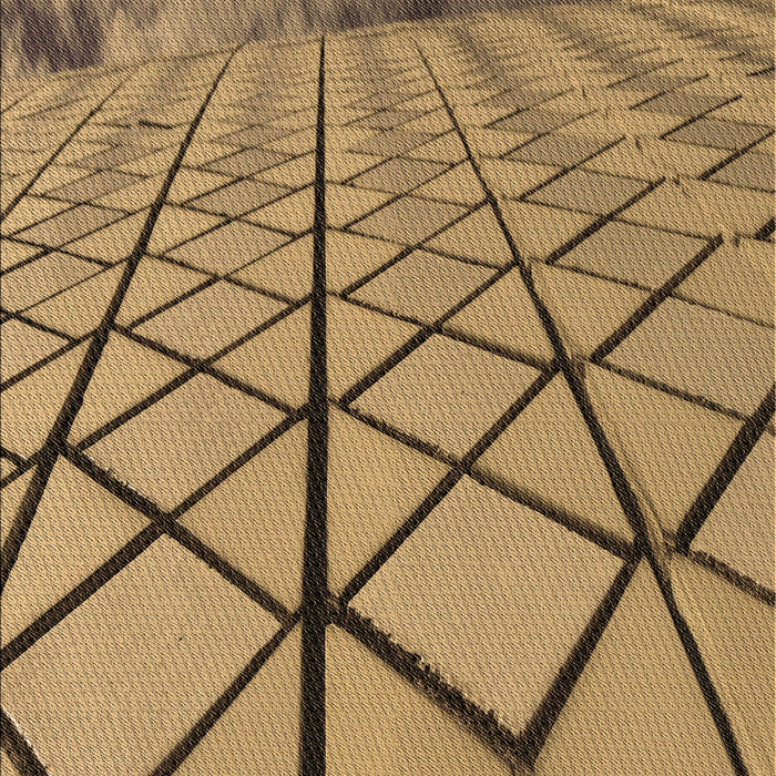 Patterned Red Brown Rug, pat3759brn