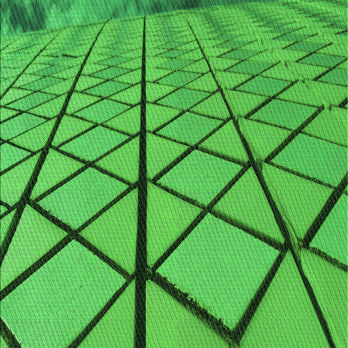 Patterned Green Rug, pat3759grn