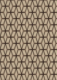 Machine Washable Transitional Brown Rug, wshpat375