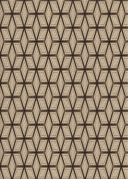 Machine Washable Transitional Brown Rug, wshpat375