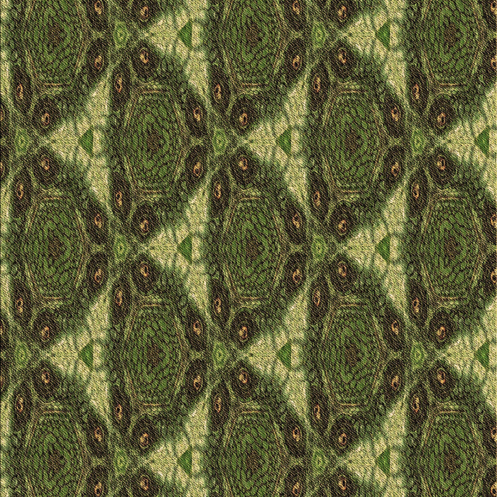 Machine Washable Transitional Chocolate Brown Rug, wshpat376brn